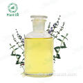 100% Pure Therapy Catnip (Nepeta Cataria) ätherisches Öl